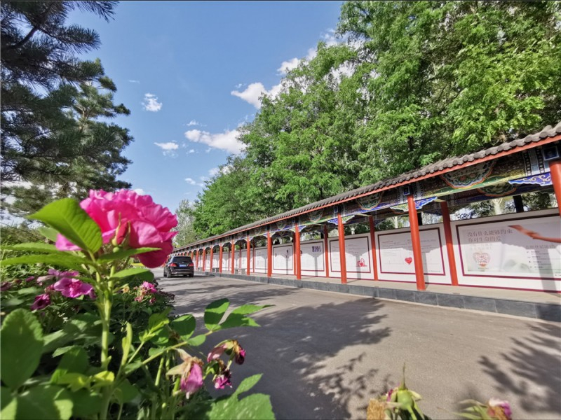 松鹤陵园