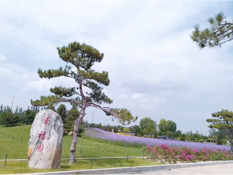 松鹤陵园